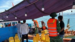 Đà Nẵng xử phạt nhiều tàu cá chở khách câu mực đêm trái phép