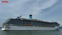 Gần 2.500 khách du lịch tàu biển đến Đà Nẵng