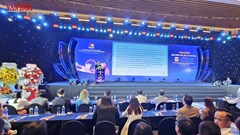 Đà Nẵng tìm giải pháp thu hút thị trường khách CIS