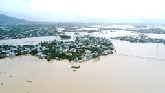 Chính phủ hỗ trợ khẩn cấp cho Đà Nẵng 100 tỉ đồng khắc phục thiệt hại do mưa lũ
