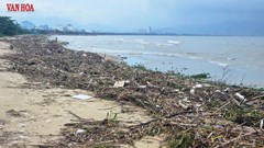Bờ biển vịnh Đà Nẵng ngập rác sau mưa lũ