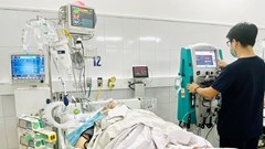 Nhiều người nhập viện vì rắn cắn 