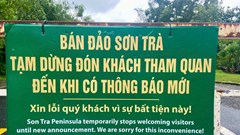 Đà Nẵng: Tạm dừng tham quan bán đảo Sơn Trà để đảm bảo an toàn