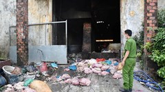 Phát hiện cơ sở chế biến mỡ động vật trái phép trong khu vực nghĩa trang 