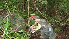 Truy quét bẫy săn trái phép tại bán đảo Sơn Trà