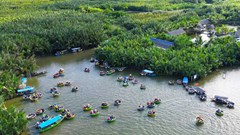 Đà Nẵng thúc đẩy phân loại rác tại nguồn, xây dựng “bức tường xanh” cho ngành Du lịch