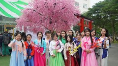 Sôi nổi trải nghiệm văn hoá Hàn Quốc dành cho học sinh, sinh viên Đà Nẵng