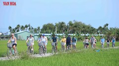 Du lịch xanh - “tấm vé” để Đà Nẵng chinh phục thị trường khách Âu - Mỹ