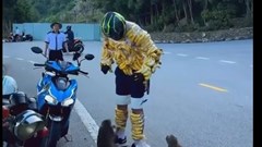 Phản cảm cảnh du khách trêu khỉ hoang dã tại Sơn Trà