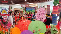 Rộn ràng sắc Xuân tại Lễ hội Tết Việt - Bính Ngọ 2026 ở Đà Nẵng