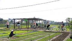  “Chạm về nguyên bản” để phát triển bền vững