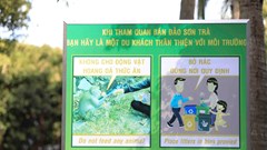 Ngăn chặn tình trạng cho khỉ ăn, xả rác tại Sơn Trà