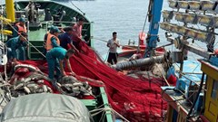 Tàu cá gặp nạn trên biển, 12 ngư dân được cứu hộ kịp thời