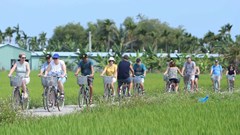 Đà Nẵng: “Chạm khoảnh khắc” – kết nối cảm xúc mùa du lịch dịp lễ