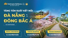 Tăng tần suất các đường bay từ Đà Nẵng đến Đông Bắc Á