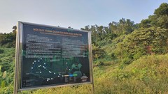 Đến bán đảo Sơn Trà, đừng vượt biển cấm!