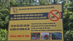 Nghiêm cấm cho động vật hoang dã ăn tại bán đảo Sơn Trà