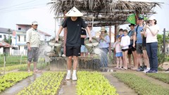 Du lịch xanh: Đà Nẵng tìm lời giải cho bài toán phát triển bền vững