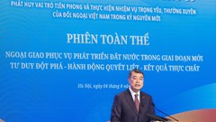 Biến quyết tâm thành hành động, thực hiện thắng lợi nhiệm vụ đối ngoại