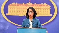 Đối ngoại cấp cao Việt Nam: Thúc đẩy quan hệ song phương và đa phương