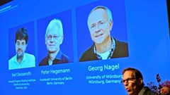 Chủ nhân giải Nobel Y sinh năm 2026 là ai?