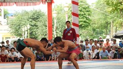 Hơn 160 VĐV tham gia “Giải vật dân tộc Hà Nội mở rộng - tranh cúp Phùng Hưng”