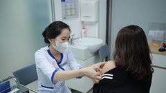 Bộ Y tế cấp phép 3 loại vắcxin mới: Sốt xuất huyết, zona thần kinh và phế cầu 23