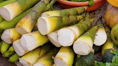 Làm sao tránh ngộ độc từ thực phẩm có chứa thành phần xyanua?