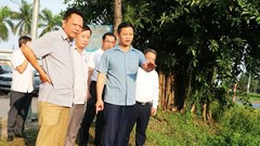 Bắc Ninh khẩn trương khắc phục hậu quả bão số 3