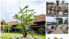 Nền văn minh lúa nước qua hàng nghìn chiếc cối đá ở Bắc Ninh