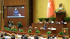 Mong Quốc hội ra Nghị quyết cấm thuốc lá điện tử, thuốc lá nung nóng