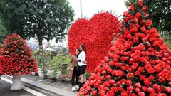 Phát huy giá trị làng nghề qua Festival hoa Mê Linh lần thứ 2