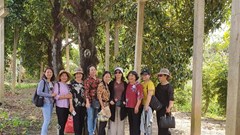 Ngỡ ngàng đàn cá tra 40 tuổi, cây măng cụt hơn trăm tuổi ở huyện Kế Sách