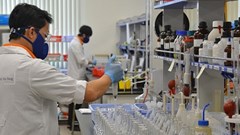 Phương án quy hoạch Viện Kiểm nghiệm an toàn vệ sinh thực phẩm quốc gia