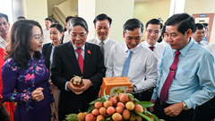 Chủ tịch Bắc Giang viết thư ngỏ lan toả giá trị thương hiệu vải thiều