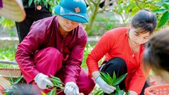 Thúc đẩy du lịch trải nghiệm miệt vườn mùa vải chín