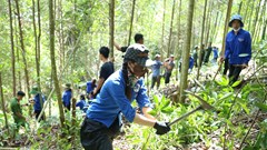 Phát động thi đua tình nguyện hỗ trợ thi công Dự án đường dây 500kV Lào Cai – Vĩnh Yên