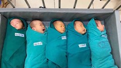 Hơn 50% trẻ không được nuôi hoàn toàn bằng sữa mẹ trong 6 tháng đầu đời