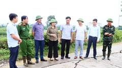 Bắc Ninh: Khẩn trương gia cố các tuyến đê bị sụt lún, nứt mặt…