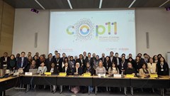 COP11: Hơn 1.400 đại biểu cam kết toàn cầu chống lại “làn sóng thuốc lá mới”