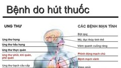 Ngoài tim và phổi, những cơ quan nào bị tác động bởi khói thuốc lá?