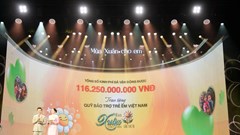 Quỹ Bảo trợ Trẻ em Việt Nam tiếp nhận hơn 116 tỉ đồng dành cho trẻ em khó khăn