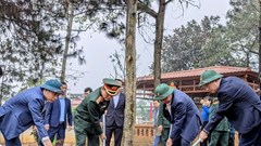 Hà Nội: Việc trồng cây phải đi đôi với chăm sóc, bảo vệ