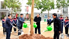Hà Nội tổ chức 4 điểm cầu truyền hình trực tiếp lễ phát động “Tết trồng cây” Xuân Bính Ngọ
