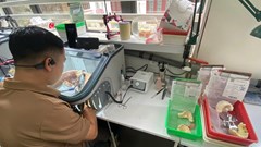 Hà Nội: Xử phạt hơn 1,3 tỉ đồng các cơ sở sản xuất, kinh doanh răng giả