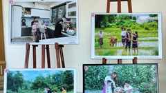 Triển khai tháng hành động về phòng, chống bạo lực gia đình