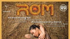 “Rơm” trên cánh đồng lúa chín Hội An