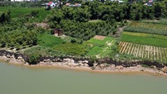 Khẩn trương khắc phục tình trạng sạt lở bờ sông Thu Bồn