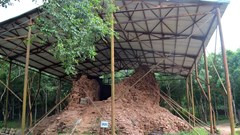 Đề xuất cơ quan đầu mối phối hợp triển khai dự án bảo tồn tháp F Mỹ Sơn