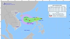 Tập trung ứng phó với áp thấp nhiệt đới